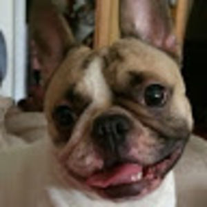 Meet your Posher, Fionnuala